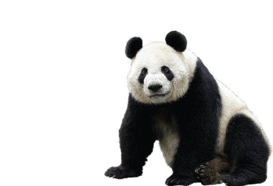 Visiting Me?