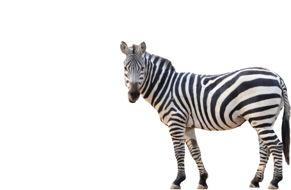 Visiting Me?