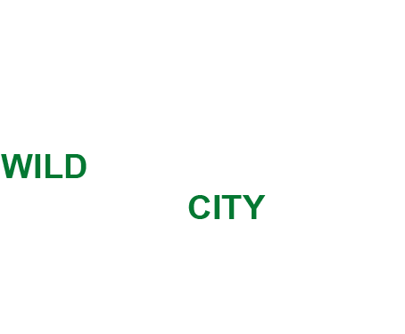 Your journey to the wild can now start from the city